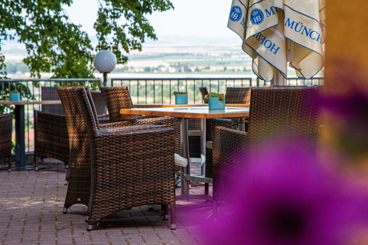 Hotel-restaurant Weinberg 3* Artern