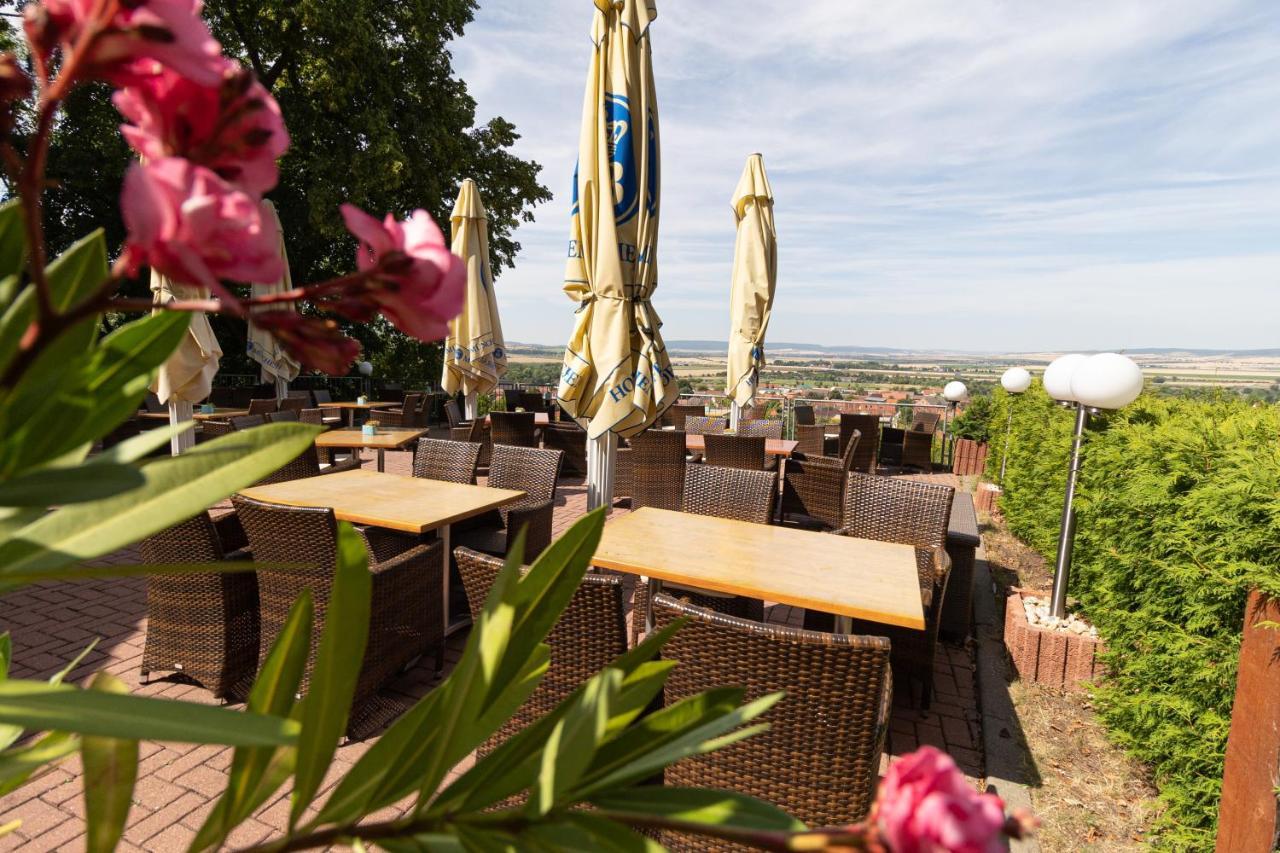 Hotel-restaurant Weinberg Hotel Artern