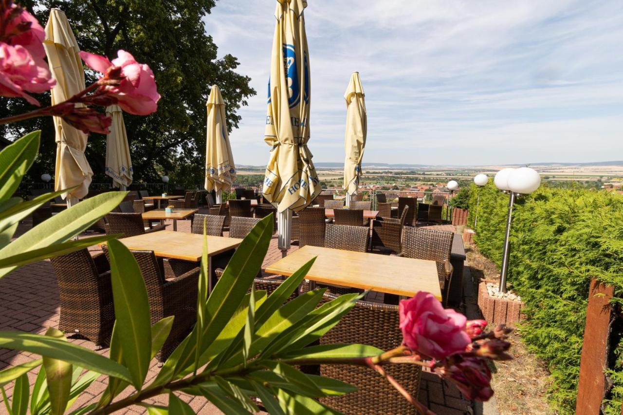 Hotel-restaurant Weinberg 3* Artern