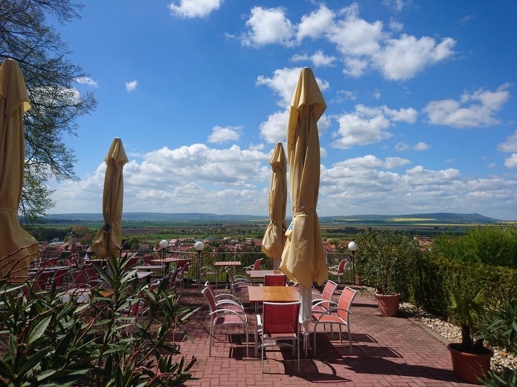 Hotel Hotel-restaurant Weinberg Artern